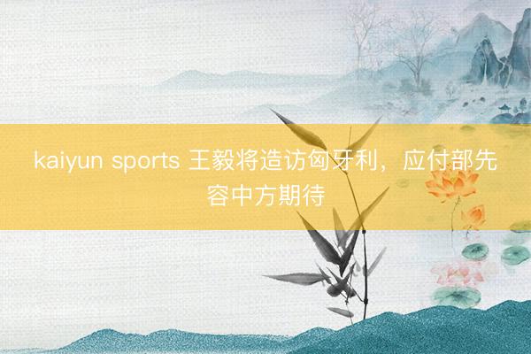 kaiyun sports 王毅将造访匈牙利，应付部先容中方期待