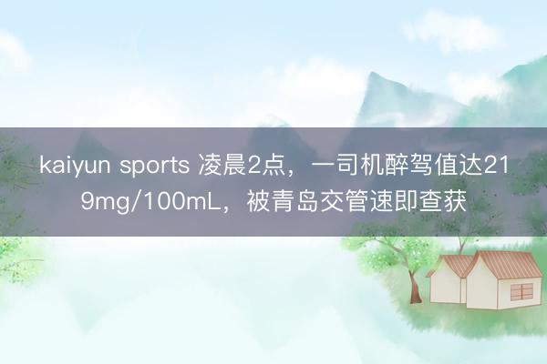 kaiyun sports 凌晨2点,一司机醉驾值达219mg/100mL,被青岛交管速即查获