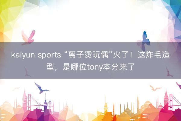 kaiyun sports “离子烫玩偶”火了！这炸毛造型，是哪位tony本分来了