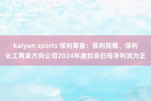kaiyun sports 保利筹备：保利民爆、保利化工两家方向公司2024年度扣非归母净利润为正