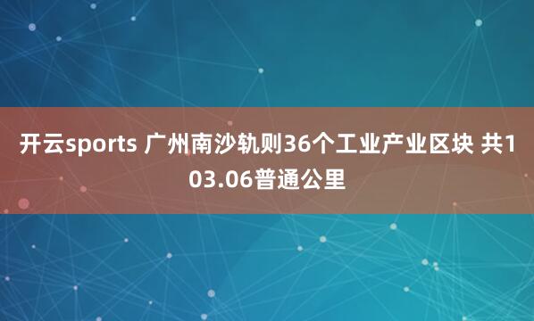 开云sports 广州南沙轨则36个工业产业区块 共103.06普通公里