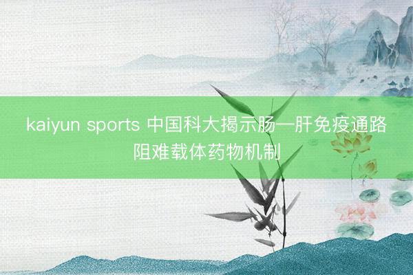 kaiyun sports 中国科大揭示肠—肝免疫通路阻难载体药物机制