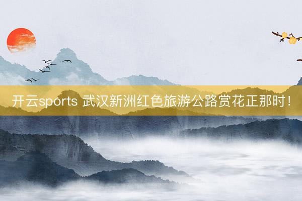 开云sports 武汉新洲红色旅游公路赏花正那时！