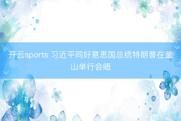 开云sports 习近平同好意思国总统特朗普在釜山举行会晤