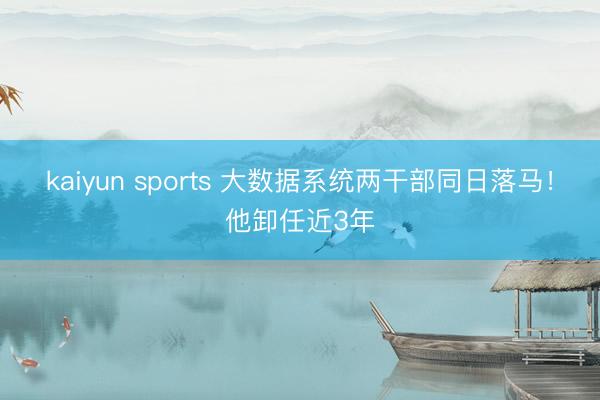 kaiyun sports 大数据系统两干部同日落马!他卸任近3年