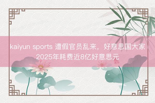 kaiyun sports 遭假官员乱来，好意思国大家2025年耗费近8亿好意思元