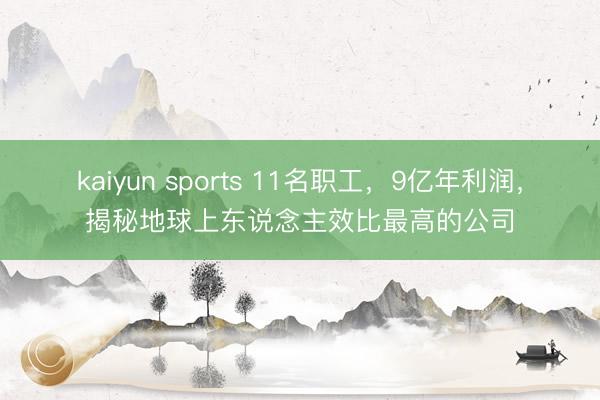 kaiyun sports 11名职工,9亿年利润,揭秘地球上东说念主效比最高的公司
